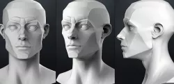 Planes of the head - Male 3D model