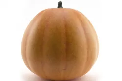 Pumpkin 3D model
