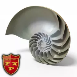 Seashell Nautilus sliced 3D model
