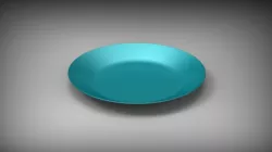 Simple dinner plate