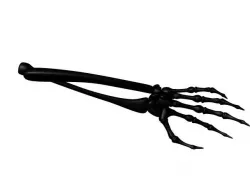 Skeleton Hand AAA 3D model