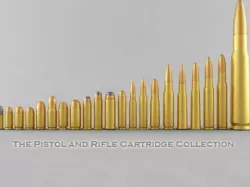 The Pistol and Rifle Cartridge Collection  3D model