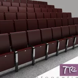 THEATER SEATING AREA 3D model