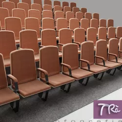 THEATER SEATING AREA 3D model