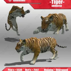 Tiger Animated Low-poly  3D model