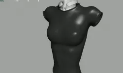 Tight Shirt AAA Low-poly  3D model