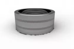 Titanium ring with insert