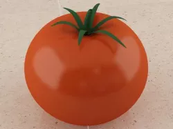 Tomato 3D model