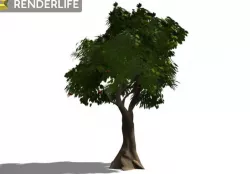 Tree 3D model