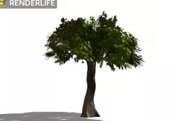Tree 3D model