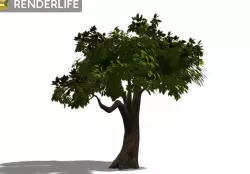 Tree 3D model