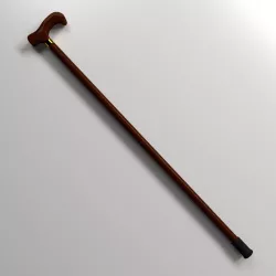 Walking Canes 3D model