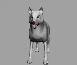 Wild Wolf AAA Low-poly  3D model
