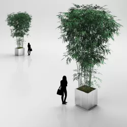 Young Bamboo Bunch in Steel Pot 3D model
