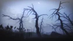 30 Dead Tree Models for Games Low-poly  3D model