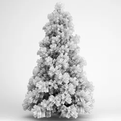 Alpine Fir 25 3D model