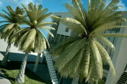 Archmodels 3D model