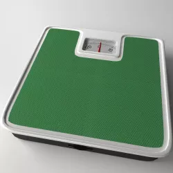 Bathroom Scale 3D model