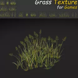 Bent Grass Texture Low-poly  3D model