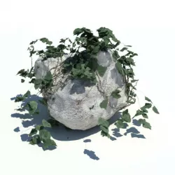 Boulder   Small Leaves Branches 3D model