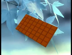 chocolate