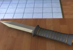 Combat Knife