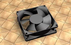 fan