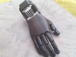 Flexy-Hand 2