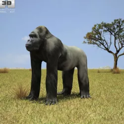 Gorilla Troglodytes Gorilla Low-poly  3D model