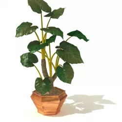 Leaf Pot Plant 3D model