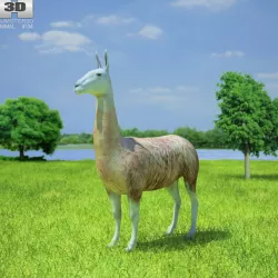 Llama Lama Glama Low-poly  3D model