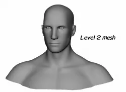 Male Face 3D Model 3D model