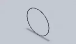 O-ring