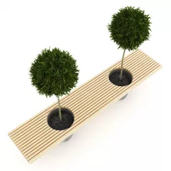 Orange Trees in Bench-Pot 3D model