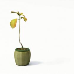 autodesk map3d show north in model | Page 1 | STLFinder