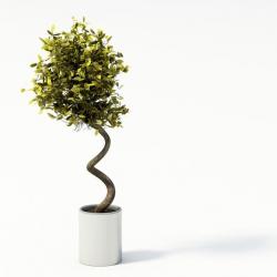 twisties models | Page 1 | STLFinder