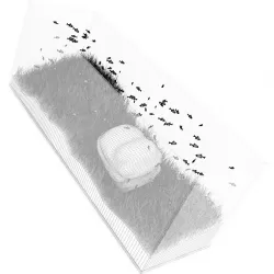 Rectangular Aquarium 3D model