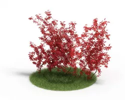 Red Leafy Bush 3D model