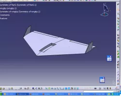 WingBody