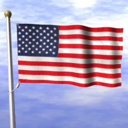 American Flag 3D model