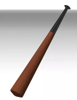 Baseball Bat