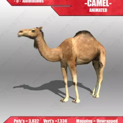 Camel Animated Low-poly  3D model