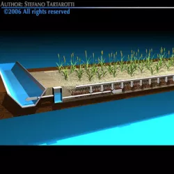 Constructed wetland 3D model