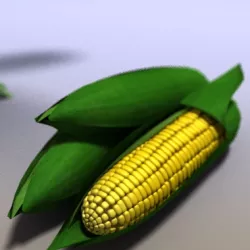 Corn Field 3D model