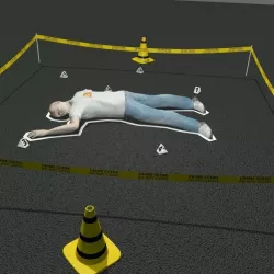 Crime scene 3D model