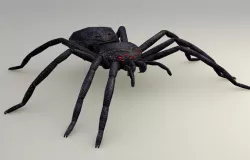 DARKNESS SPIDER GAME READY ANIMATED MODEL Low-poly  3D model