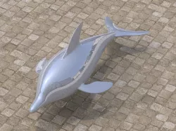 dolphin