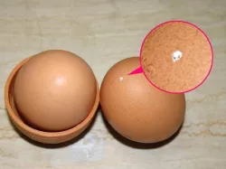 Egg piercer
