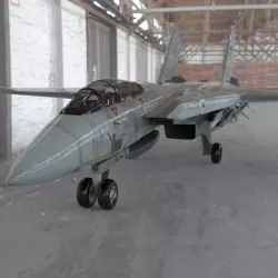 F 14 Tomcat for Poser 3D model