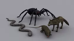 FANTASY ANIMALS PACK GAME READY ANIMATED MODELS Low-poly  3D model